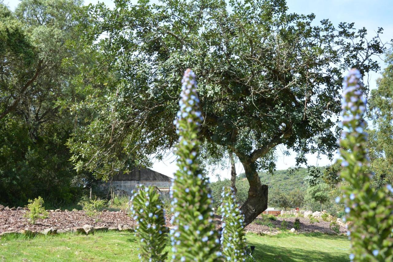 Quinta Do Freixo Villa Benafim Kültér fotó