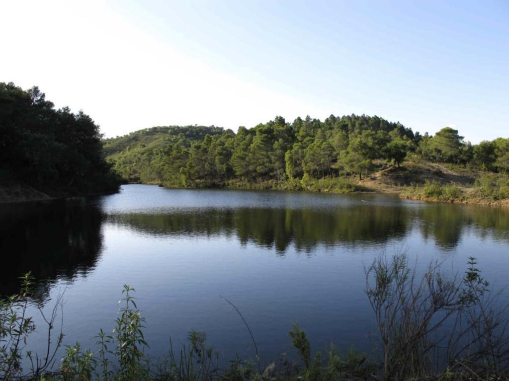 Quinta Do Freixo Villa Benafim Kültér fotó